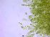  ( - GREFG-02-ULV)  @11 [ ] Creative Commons BY NC SA (2022) Norwegian University of Life Sciences NMBU Norwegian University of Life Sciences NMBU