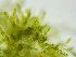  ( - GREFG-121-KVS)  @11 [ ] Creative Commons BY NC SA (2023) Norwegian University of Life Sciences NMBU Norwegian University of Life Sciences NMBU