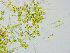  ( - GREFG-139-DY)  @11 [ ] Creative Commons BY NC SA (2023) Norwegian University of Life Sciences NMBU Norwegian University of Life Sciences NMBU