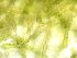  ( - GREFG-40-BGP)  @11 [ ] Creative Commons BY NC SA (2022) Norwegian University of Life Sciences NMBU Norwegian University of Life Sciences NMBU