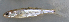  ( - MXIV0323)  @13 [ ] Unspecified (default): All Rights Reserved  Unspecified Unspecified