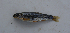  ( - MXIV0765)  @13 [ ] Unspecified (default): All Rights Reserved  Unspecified Unspecified
