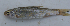  ( - MXIV0767)  @13 [ ] Unspecified (default): All Rights Reserved  Unspecified Unspecified