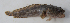 ( - MXIV0793)  @12 [ ] Unspecified (default): All Rights Reserved  Unspecified Unspecified