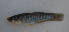  ( - MXIV0804)  @13 [ ] Unspecified (default): All Rights Reserved  Unspecified Unspecified