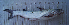  ( - MXIV0840)  @12 [ ] Unspecified (default): All Rights Reserved  Unspecified Unspecified