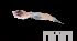  ( - MFL0053)  @13 [ ] Unspecified (default): All Rights Reserved  Unspecified Unspecified