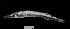  ( - MFL0090)  @14 [ ] Unspecified (default): All Rights Reserved  Unspecified Unspecified