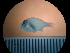  ( - MFL231)  @12 [ ] Unspecified (default): All Rights Reserved  Jose Angel Cohuo Unspecified