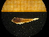  ( - MFLIV1541)  @12 [ ] Unspecified (default): All Rights Reserved  Jose Angel Cohuo Unspecified