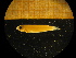  ( - MFLIV1550)  @12 [ ] Unspecified (default): All Rights Reserved  Jose Angel Cohuo Unspecified
