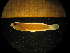  ( - MFLIV1552)  @12 [ ] Unspecified (default): All Rights Reserved  Jose Angel Cohuo Unspecified