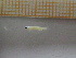  ( - MFLIV1588)  @13 [ ] Unspecified (default): All Rights Reserved  Jose Angel Cohuo Unspecified