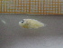  ( - MFLIV1589)  @12 [ ] Unspecified (default): All Rights Reserved  Jose Angel Cohuo Unspecified