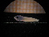  ( - MFLIV1640)  @12 [ ] Unspecified (default): All Rights Reserved  Jose Angel Cohuo Unspecified