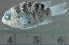  ( - MFLIV1737)  @13 [ ] Unspecified (default): All Rights Reserved  Jose Angel Cohuo Unspecified
