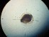  ( - MFLIV1859)  @12 [ ] Unspecified (default): All Rights Reserved  Unspecified Unspecified