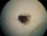  ( - MFLIV1861)  @12 [ ] Unspecified (default): All Rights Reserved  Unspecified Unspecified