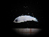  ( - MFLIV1995)  @12 [ ] Unspecified (default): All Rights Reserved  Jose Angel Cohuo Unspecified