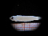  ( - MFLIV2022)  @12 [ ] Unspecified (default): All Rights Reserved  Jose Angel Cohuo Unspecified