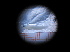  ( - MFLIV2027)  @12 [ ] Unspecified (default): All Rights Reserved  Jose Angel Cohuo Unspecified