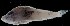  ( - MFLS3892)  @12 [ ] Unspecified (default): All Rights Reserved  Jose Angel Cohuo Unspecified