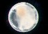  ( - MFLS3998)  @12 [ ] Unspecified (default): All Rights Reserved  Jose Angel Cohuo Unspecified