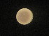  ( - MFLV2847)  @12 [ ] Unspecified (default): All Rights Reserved  Jose Angel Cohuo Unspecified