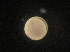  ( - MFLV2849)  @12 [ ] Unspecified (default): All Rights Reserved  Jose Angel Cohuo Unspecified