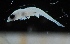  ( - MFLV2580)  @12 [ ] Unspecified (default): All Rights Reserved  Jose Angel Cohuo Unspecified