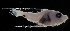  ( - MFLV4248)  @13 [ ] Unspecified (default): All Rights Reserved  Jose Angel Cohuo Unspecified