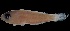  ( - MFLVI3018)  @13 [ ] Unspecified (default): All Rights Reserved  Jose Angel Cohuo Unspecified