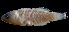  ( - MFLVI3019)  @12 [ ] Unspecified (default): All Rights Reserved  Jose Angel Cohuo Unspecified