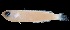  ( - MFLVI3034)  @12 [ ] Unspecified (default): All Rights Reserved  Jose Angel Cohuo Unspecified