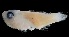  ( - MFLVI3036)  @12 [ ] Unspecified (default): All Rights Reserved  Jose Angel Cohuo Unspecified