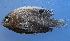 ( - MFLVI3072)  @13 [ ] Unspecified (default): All Rights Reserved  Jose Angel Cohuo Unspecified