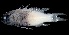  ( - MFLVI3074)  @14 [ ] Unspecified (default): All Rights Reserved  Jose Angel Cohuo Unspecified