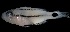  ( - MFLVI3076)  @12 [ ] Unspecified (default): All Rights Reserved  Jose Angel Cohuo Unspecified