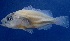  ( - MFLVI3087)  @14 [ ] Unspecified (default): All Rights Reserved  Jose Angel Cohuo Unspecified