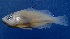  ( - MFLVI3088)  @13 [ ] Unspecified (default): All Rights Reserved  Jose Angel Cohuo Unspecified