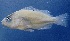  ( - MFLVI3089)  @13 [ ] Unspecified (default): All Rights Reserved  Jose Angel Cohuo Unspecified