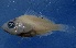  ( - MFLVI3095)  @13 [ ] Unspecified (default): All Rights Reserved  Jose Angel Cohuo Unspecified