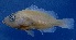  ( - MFLVI3097)  @12 [ ] Unspecified (default): All Rights Reserved  Jose Angel Cohuo Unspecified