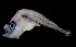  ( - MFLVI3118)  @11 [ ] Unspecified (default): All Rights Reserved  Jose Angel Cohuo Unspecified