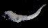  ( - MFLVI3135)  @12 [ ] Unspecified (default): All Rights Reserved  Jose Angel Cohuo Unspecified