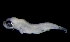  ( - MFLVI3159)  @12 [ ] Unspecified (default): All Rights Reserved  Jose Angel Cohuo Unspecified