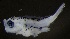 ( - MFLVI3278)  @12 [ ] Unspecified (default): All Rights Reserved  Jose Angel Cohuo Unspecified