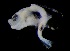  ( - MFLVI3286)  @11 [ ] Unspecified (default): All Rights Reserved  Jose Angel Cohuo Unspecified