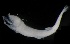  ( - MFLVI3298)  @12 [ ] Unspecified (default): All Rights Reserved  Jose Angel Cohuo Unspecified