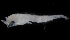  ( - MFLVI3332)  @12 [ ] Unspecified (default): All Rights Reserved  Jose Angel Cohuo Unspecified